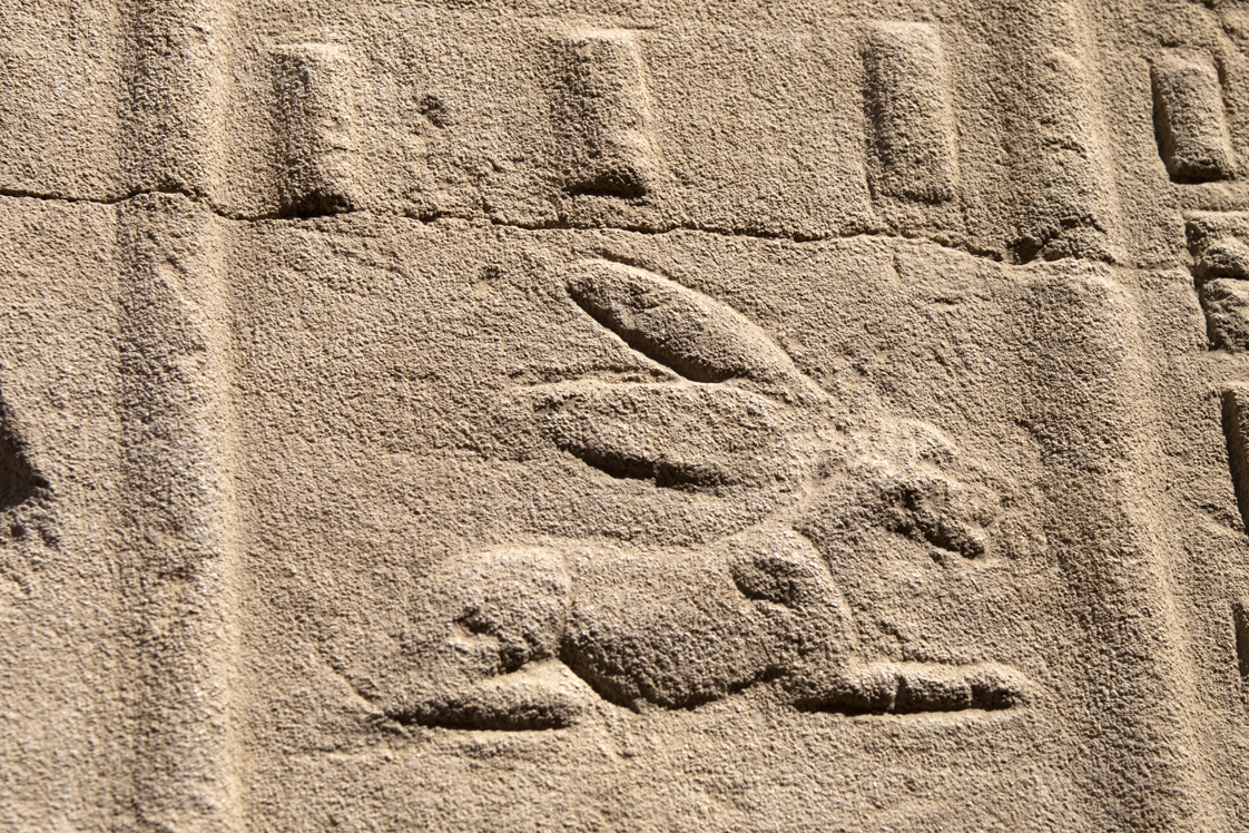 Hieroglify w Karnaku - unis - zając