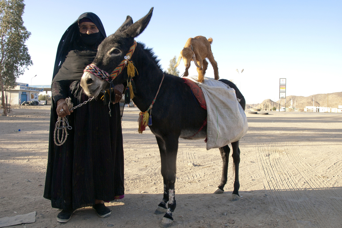 Aktorzy w oazie na pustyni