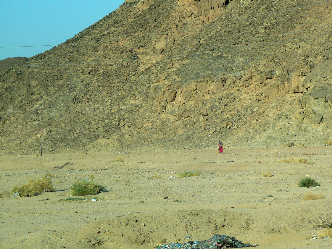 Pani Beduinka wraca z zakupów...