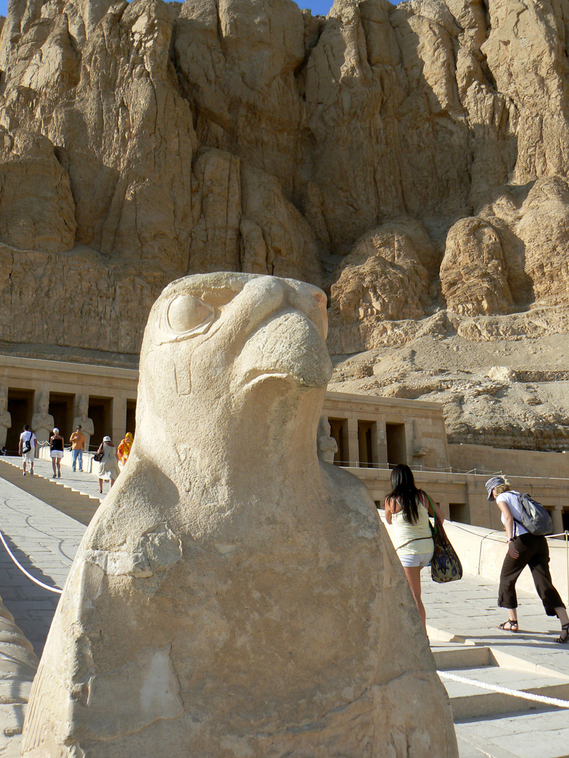 W świątyni Hatszepsut - posąg Horusa