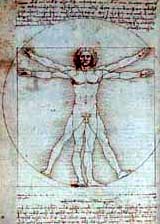 Leonardo da Vinci, Proporcje czowieka